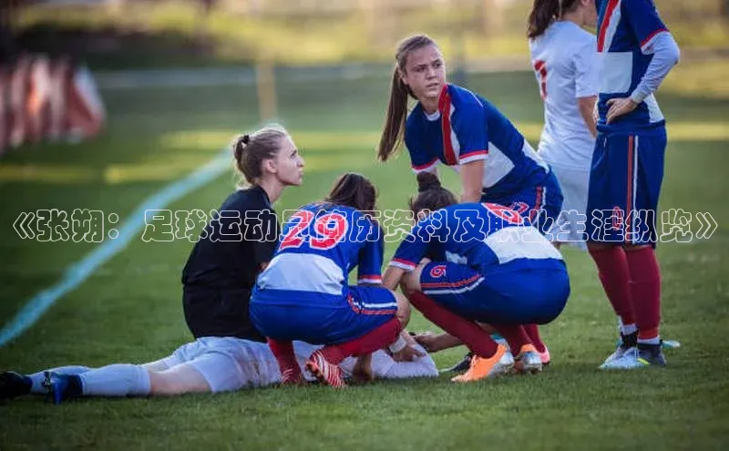 意昂3登录平台入口百家号