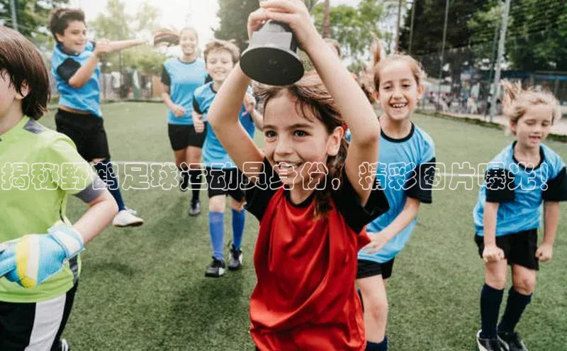 意昂3登陆入口即登录路畅科技