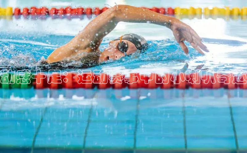 意昂3官网入口同程